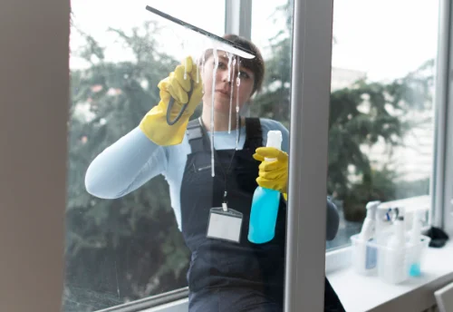 Nettoyage de vitres intérieures et extérieures à Cézy